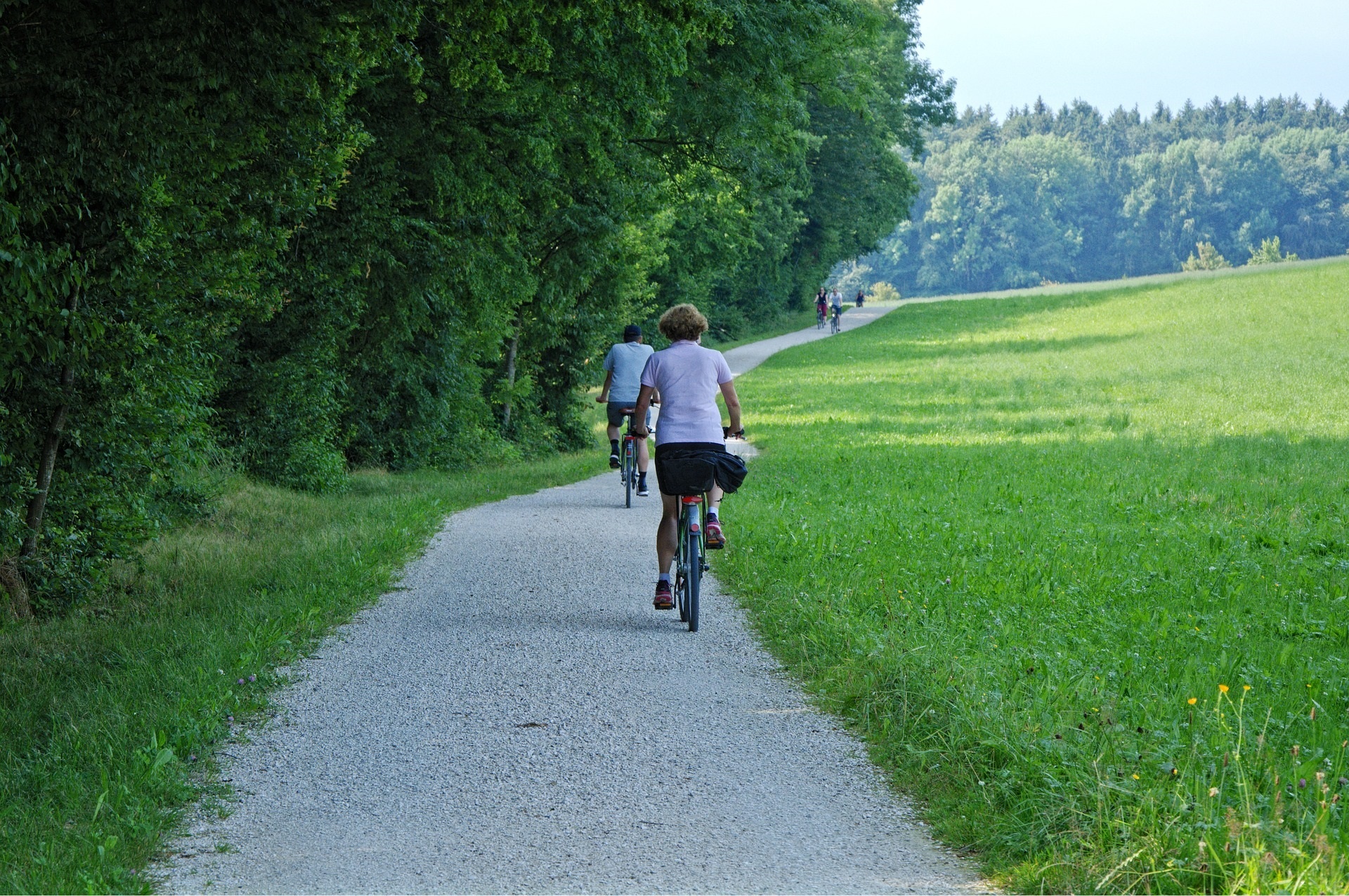 Fuss Velo Köniz Trail