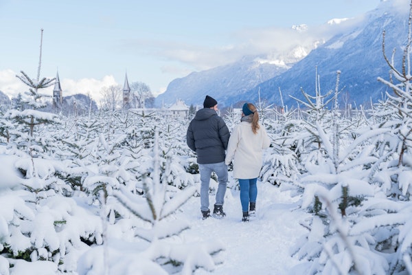 Winter Park Interlaken