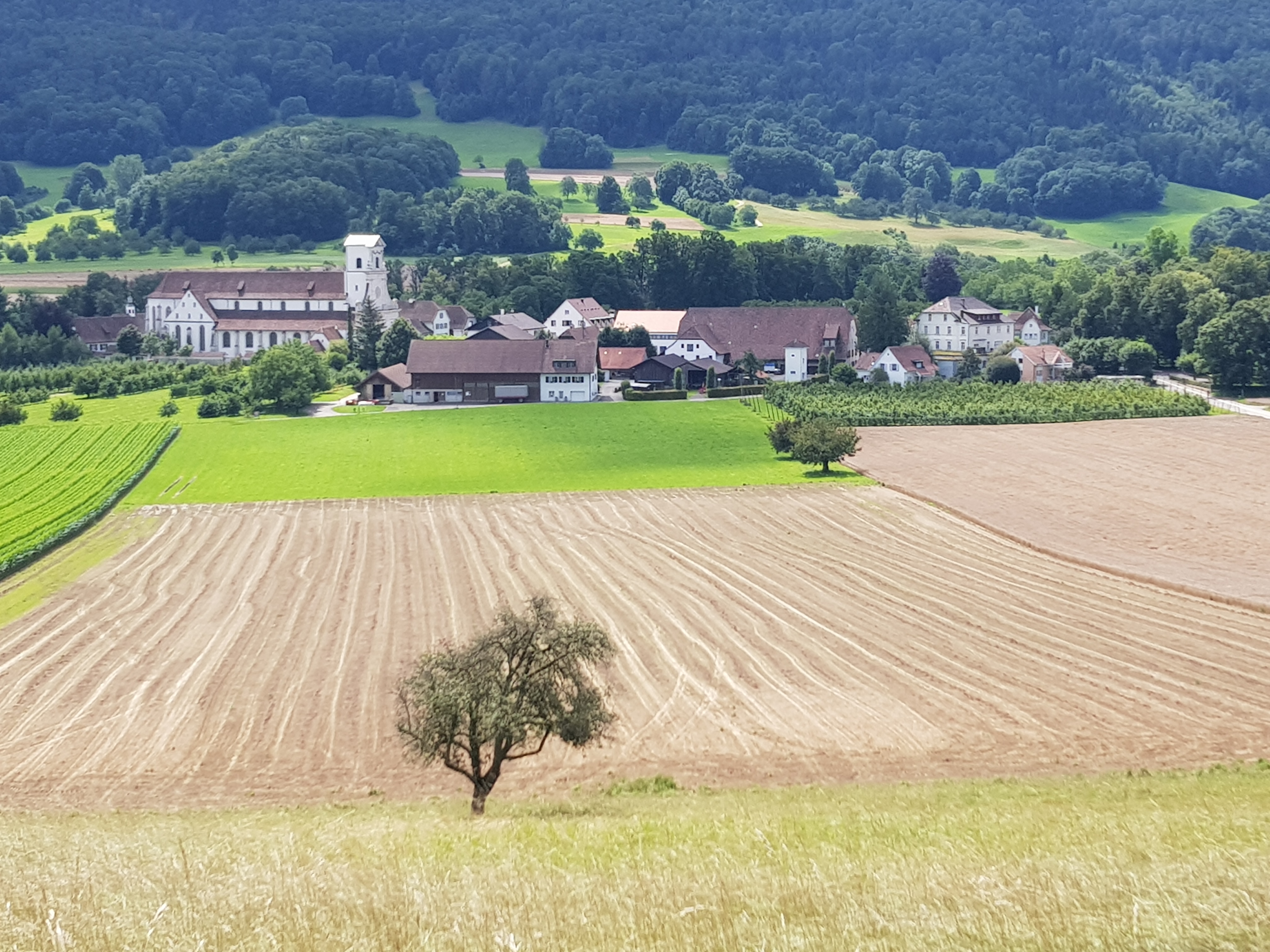 SmarTrail Kloster Mariastein