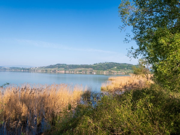 MyTrack Planetenweg Murtensee