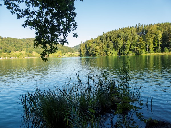 MyTrack Türlersee