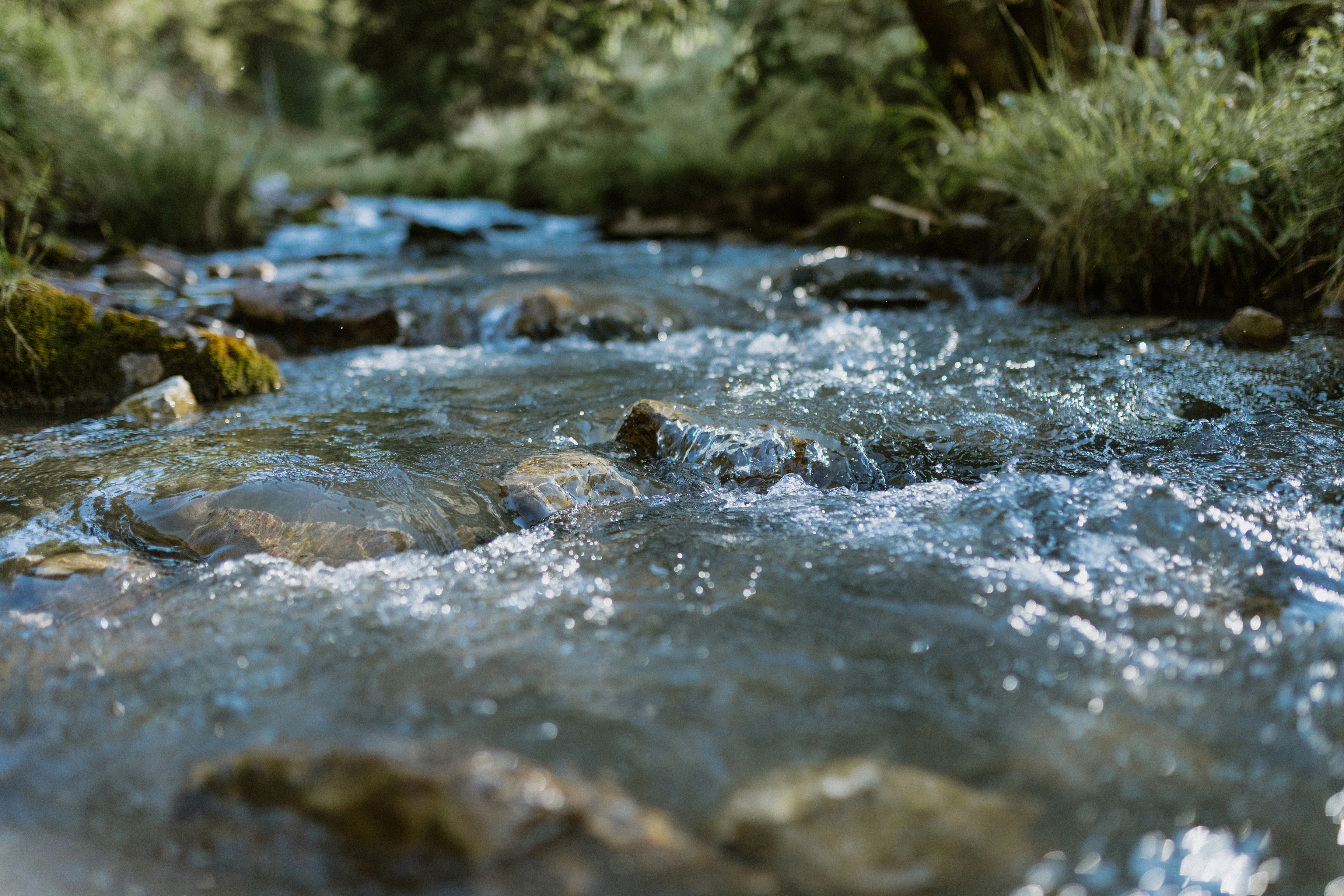 Wasserweg - Trail 2