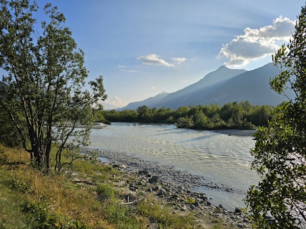 Spaziergang durch die revitalisierten Innauen in Bever