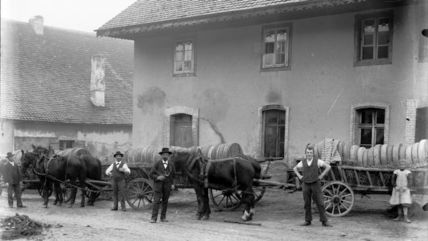 DISCOVER MATZENDORF 